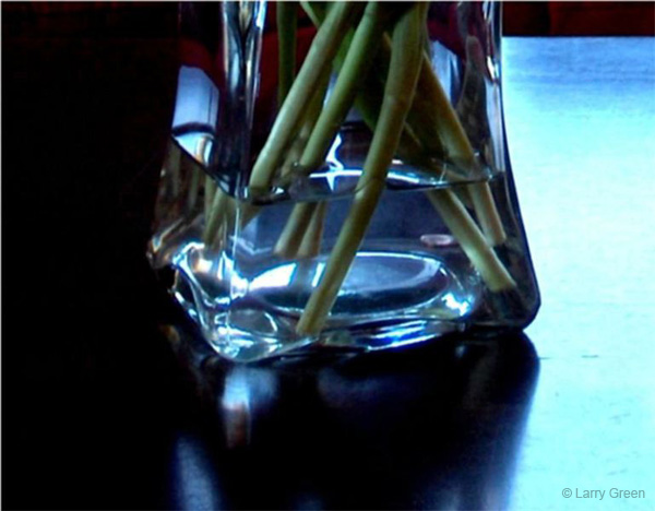 cut_stems_in_glass