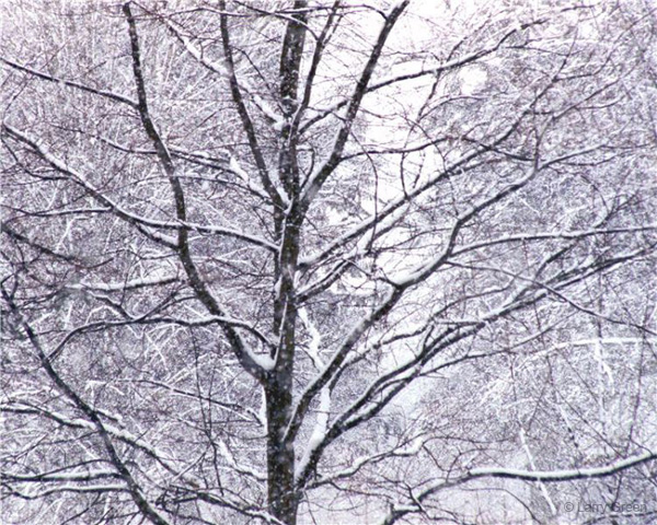 time_winter