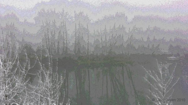 windy_rain_forest