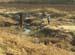 migrant_worker_glen_valley