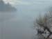 misty_river_gnarled_brush