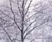 time_winter