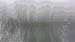 windy_rain_forest