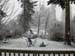 eskimo_in_back_yard