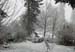 eskimo_stalking_sandpiper