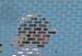 ferry_girls_head